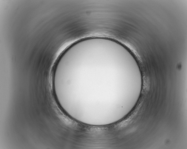 X0000091221078200708091132