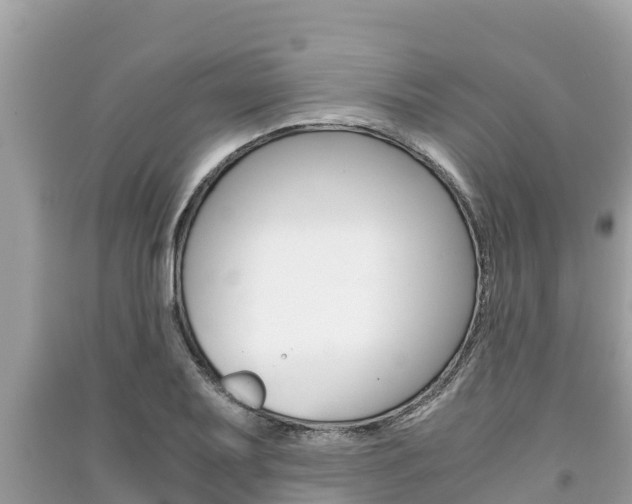 X0000091221079200708091132