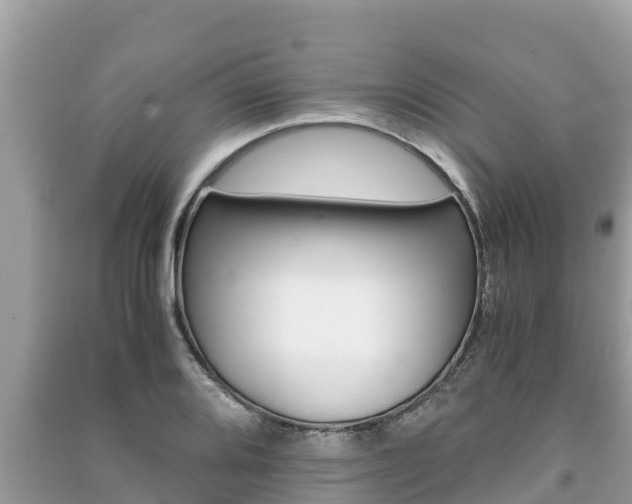 X0000091221080200708091132