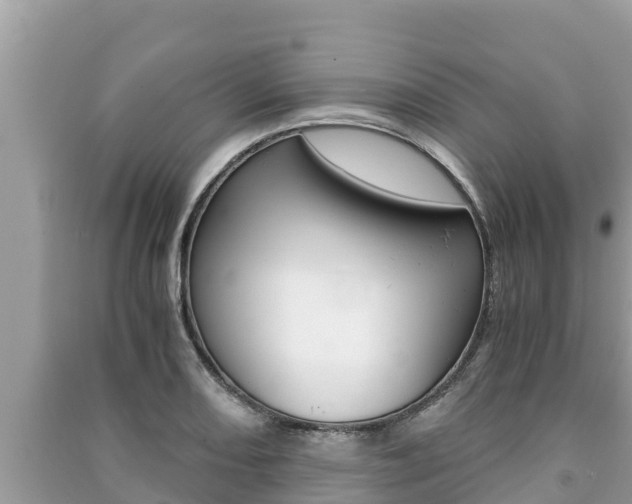 X0000091221082200708091132