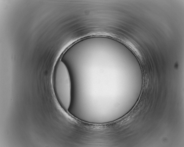 X0000091221084200708091132