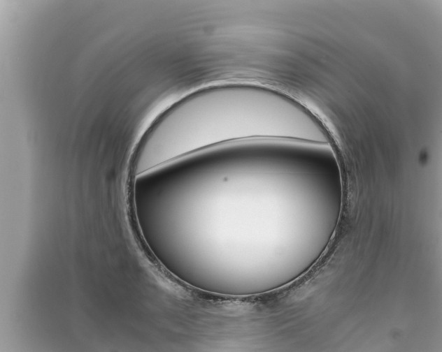 X0000091221085200708091132
