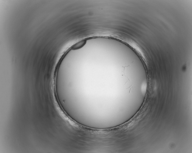 X0000091221088200708091132