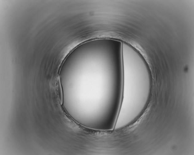 X0000091221089200708091132