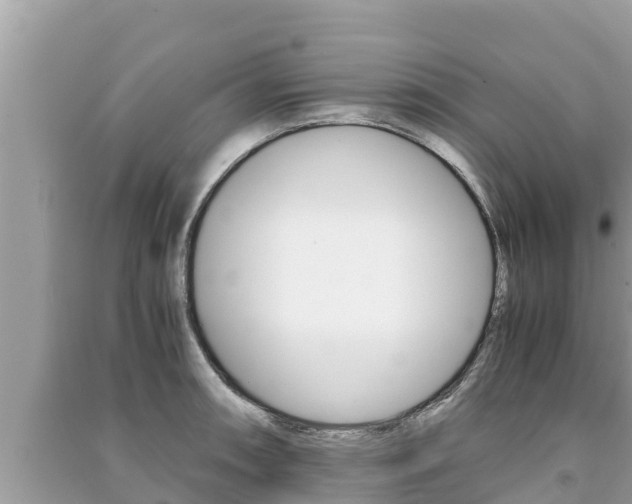 X0000091221090200708091132