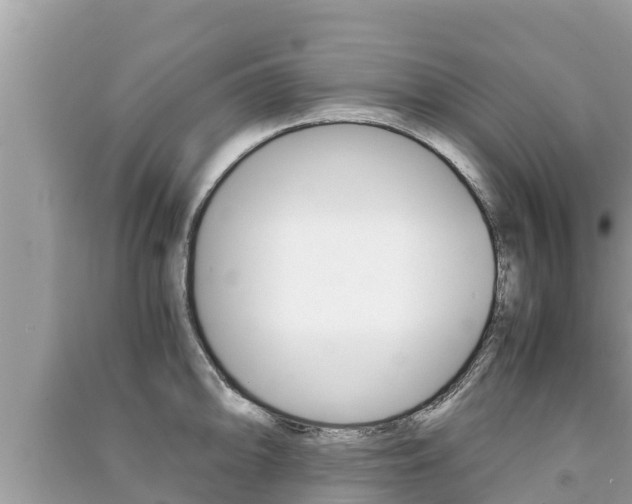X0000091221094200708091132