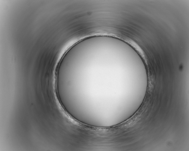 X0000091221096200708091132
