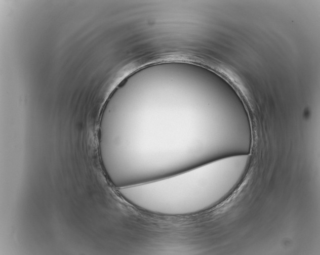 X0000091221097200708091132