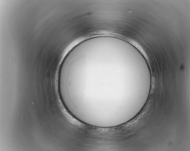 X0000091221098200708091132
