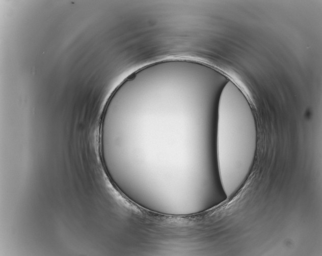 X0000091221100200708091132