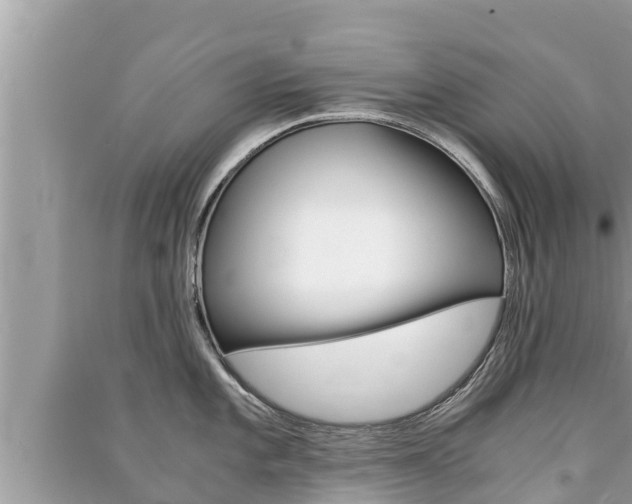 X0000091221101200708091132