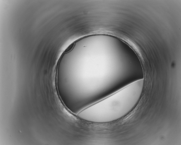 X0000091221102200708091132