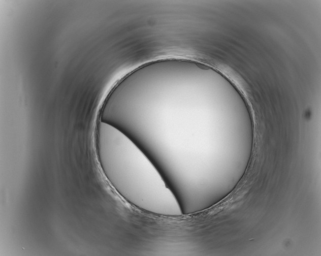 X0000091221104200708091132