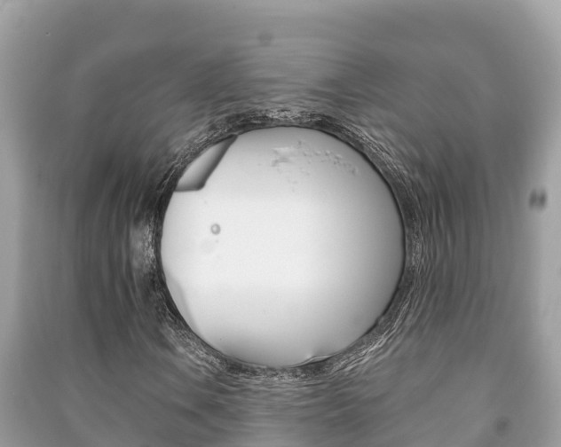 X0000091221106200708091131