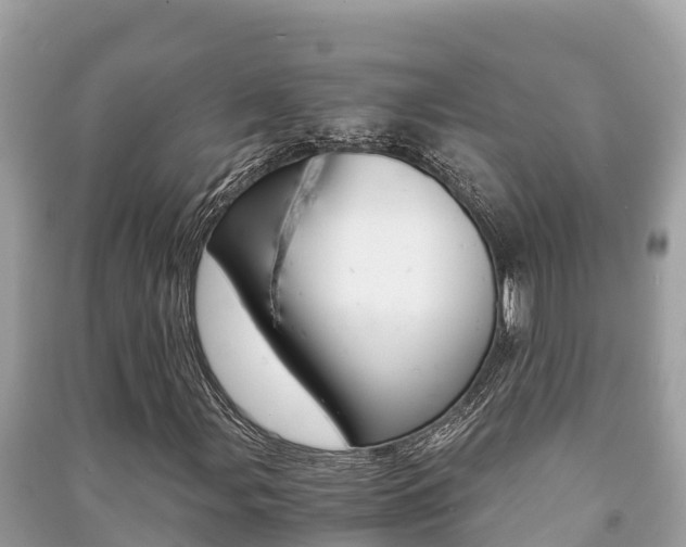 X0000091221107200708091131