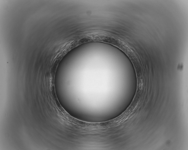 X0000091221108200708091131