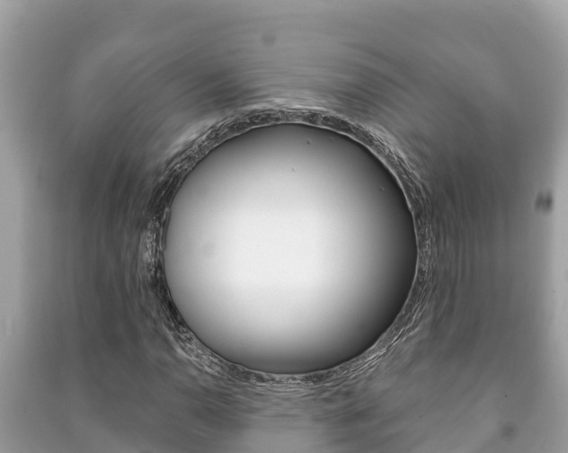 X0000091221110200708091131