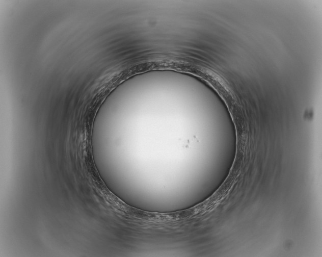 X0000091221111200708091131