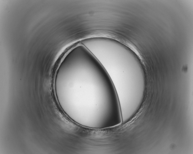 X0000091221116200708091131