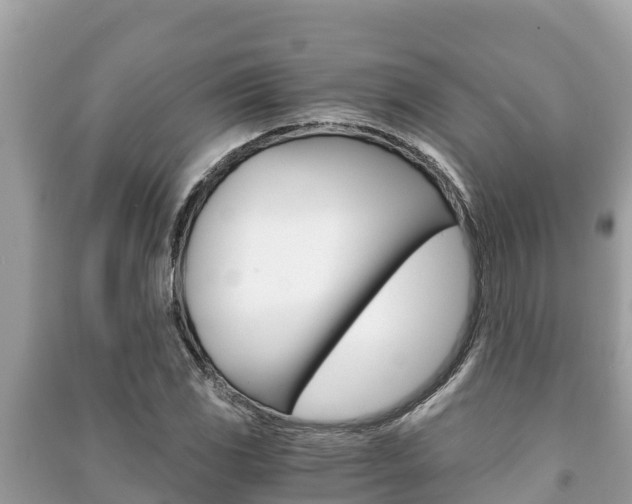 X0000091221117200708091131