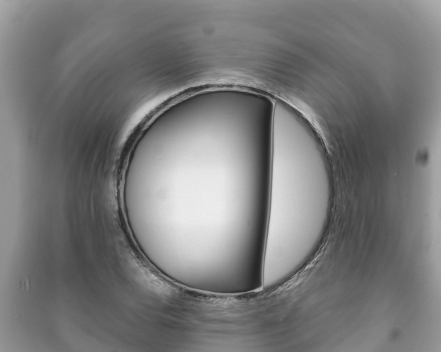 X0000091221120200708091131