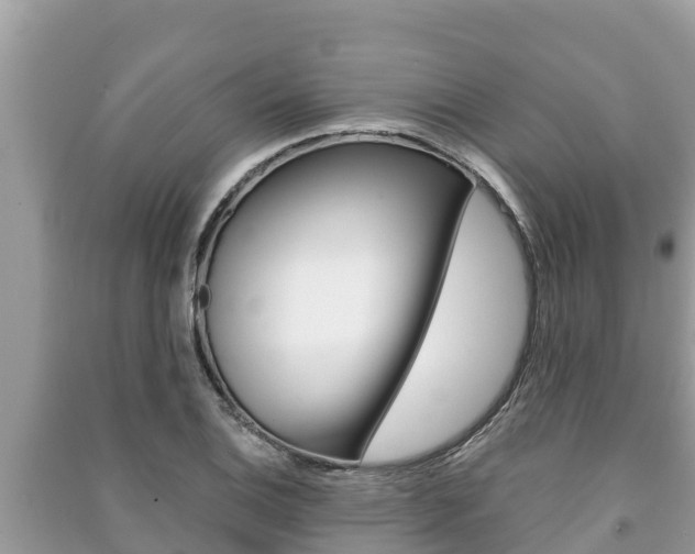 X0000091221124200708091131