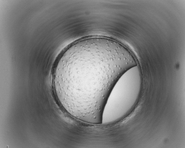 X0000091221125200708091131