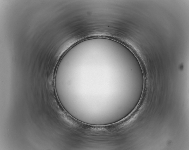 X0000091221129200708091131