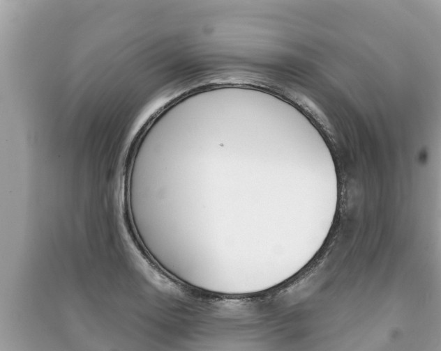 X0000091221130200708091132