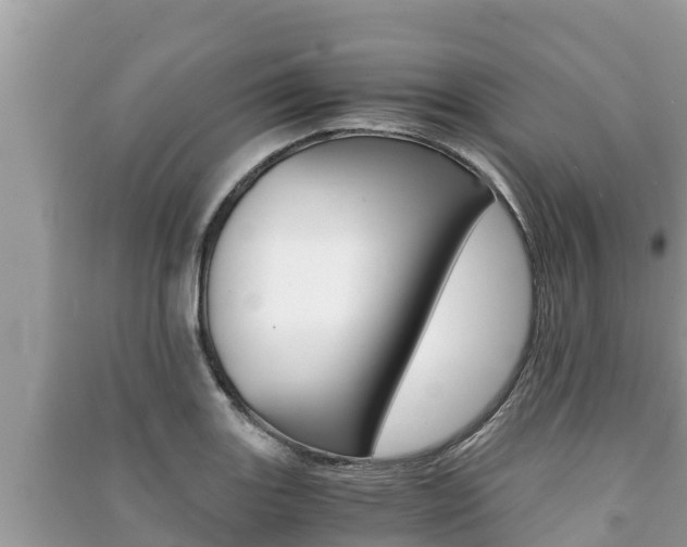 X0000091221131200708091132