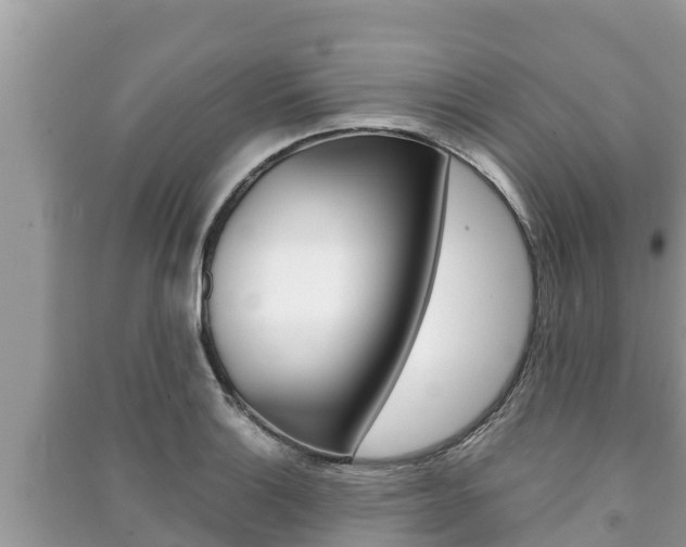 X0000091221132200708091132