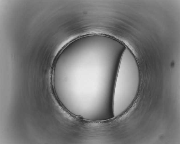 X0000091221134200708091132