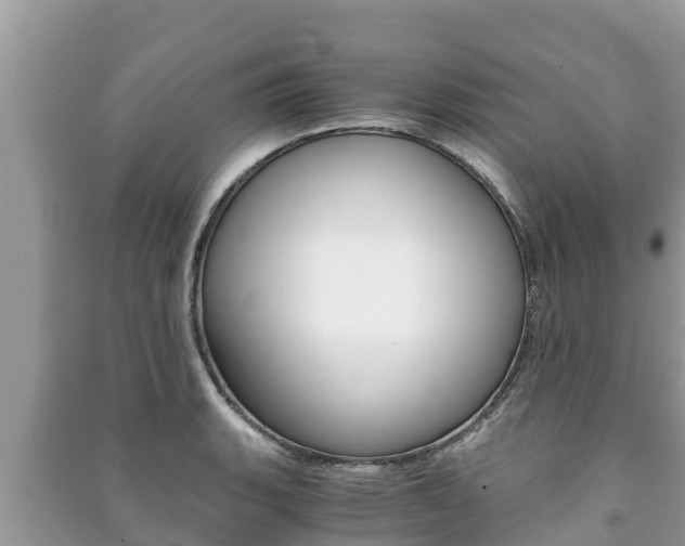 X0000091221135200708091132