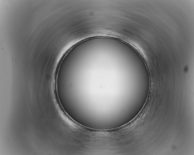 X0000091221136200708091132