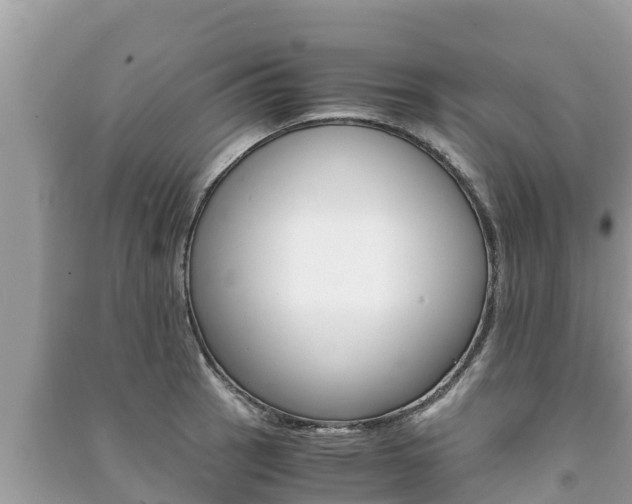 X0000091221137200708091132
