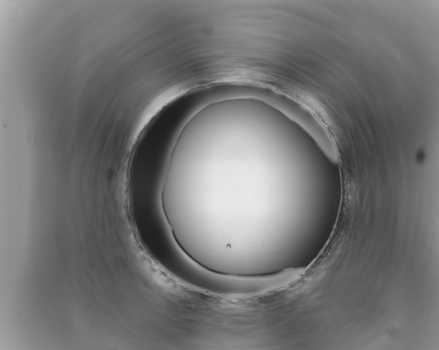 X0000091221138200708091132