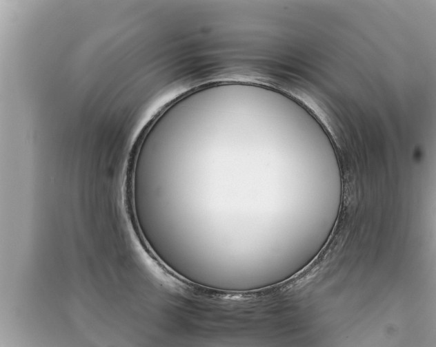 X0000091221139200708091132