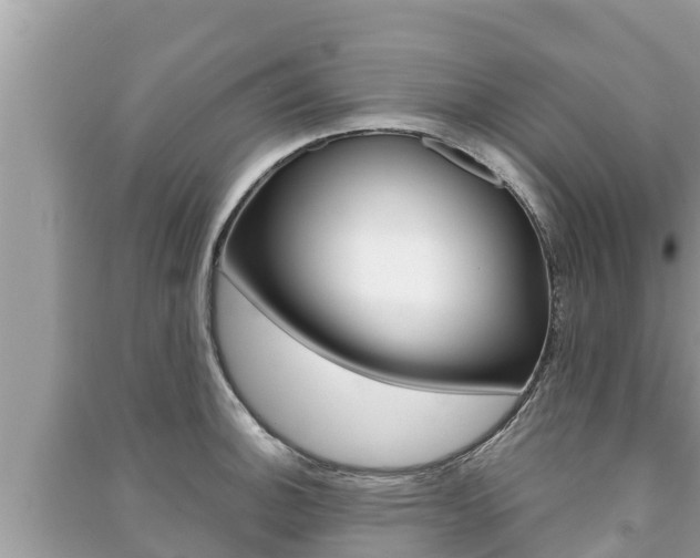 X0000091221140200708091132