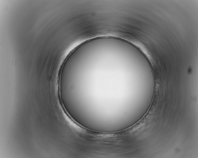 X0000091221143200708091132
