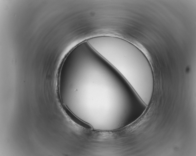 X0000091221144200708091132