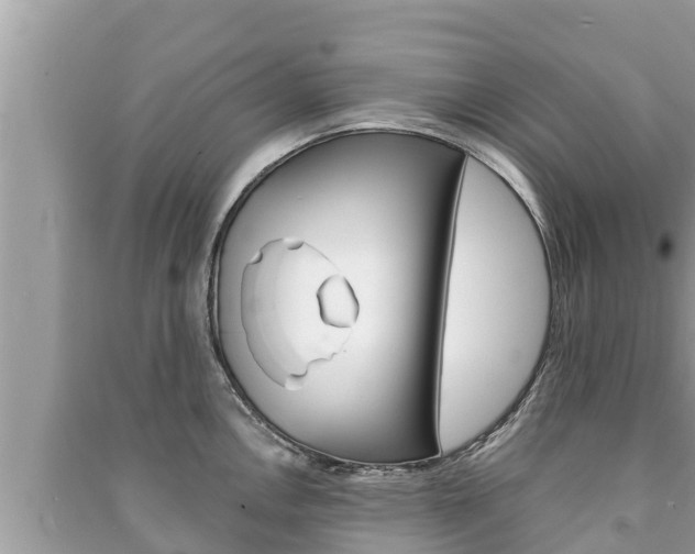 X0000091221146200708091132