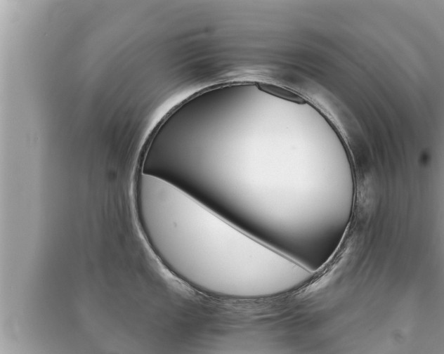 X0000091221149200708091132