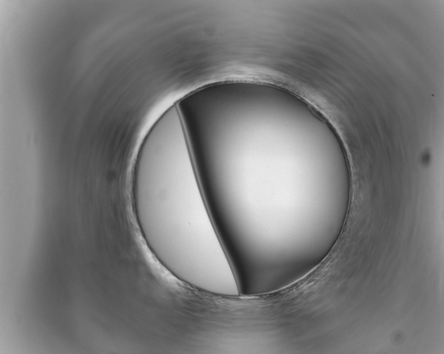 X0000091221152200708091132