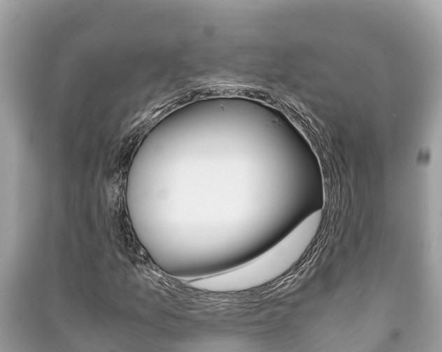 X0000091221157200708091131