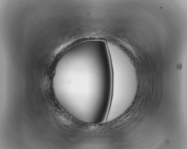 X0000091221160200708091131