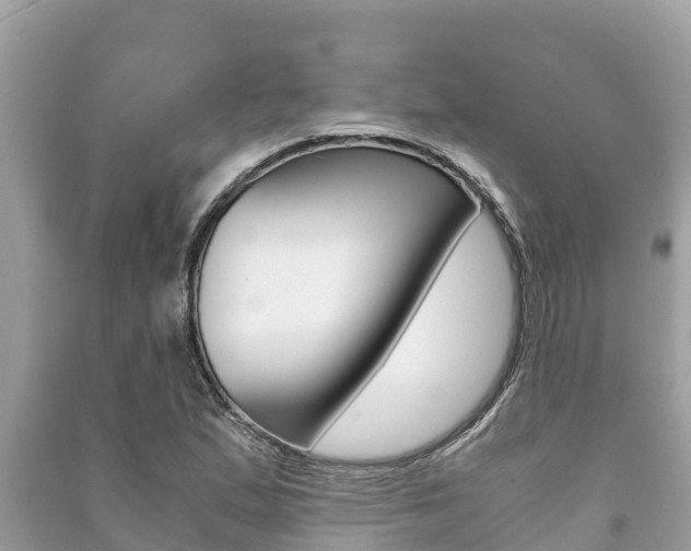 X0000091221167200708091131
