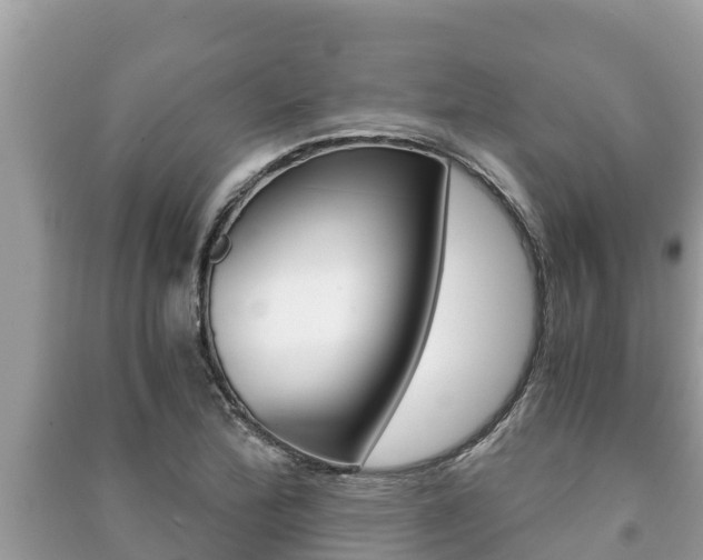 X0000091221172200708091131