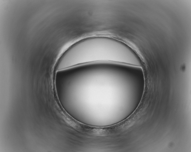 X0000091221176200708091131