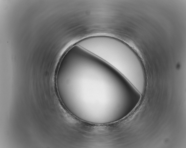 X0000091221181200708091131