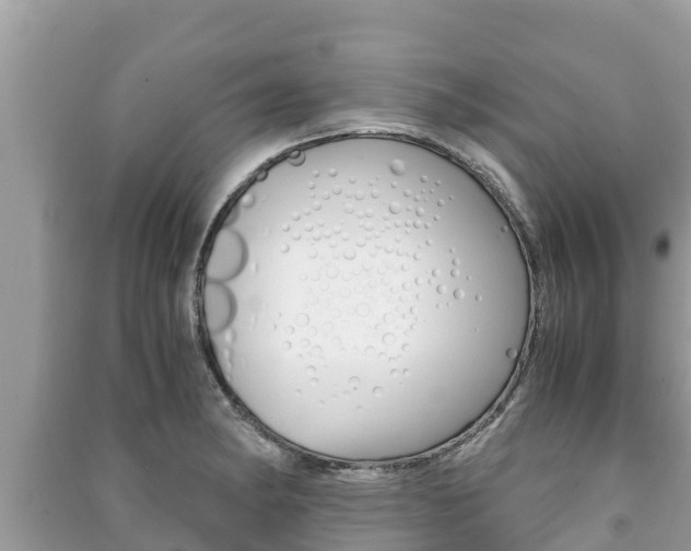 X0000091221182200708091131